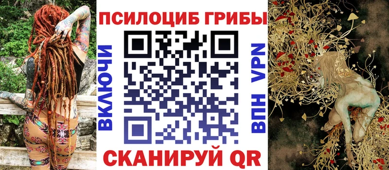 Псилоцибиновые грибы мухоморы  как найти наркотики  Бакал 